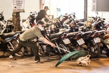 Cận cảnh một buổi làm việc của tổ săn bắt chó thả rông ở Hà Nội