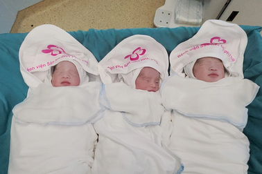 Phú Thọ: Sản phụ mang 3 thai tự nhiên vô cùng hiếm gặp