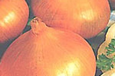 Hành tây làm thuốc