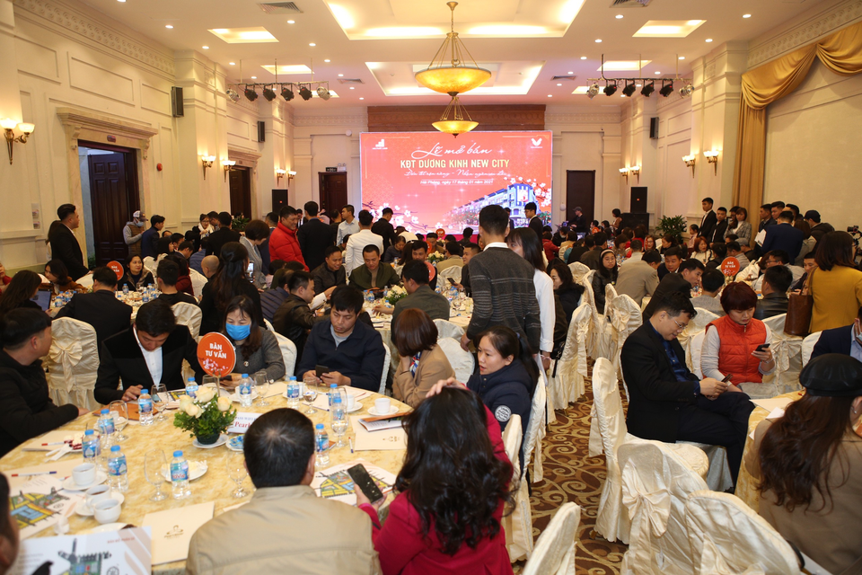 Dương Kinh New City bùng nổ thị trường BĐS Hải Phòng cuối năm 2020 - 1 Dương Kinh New City bùng nổ thị trường BĐS Hải Phòng cuối năm 2020 - 1