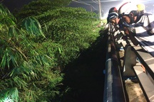 Phát hiện thi thể 2 người đàn ông dưới mương nước