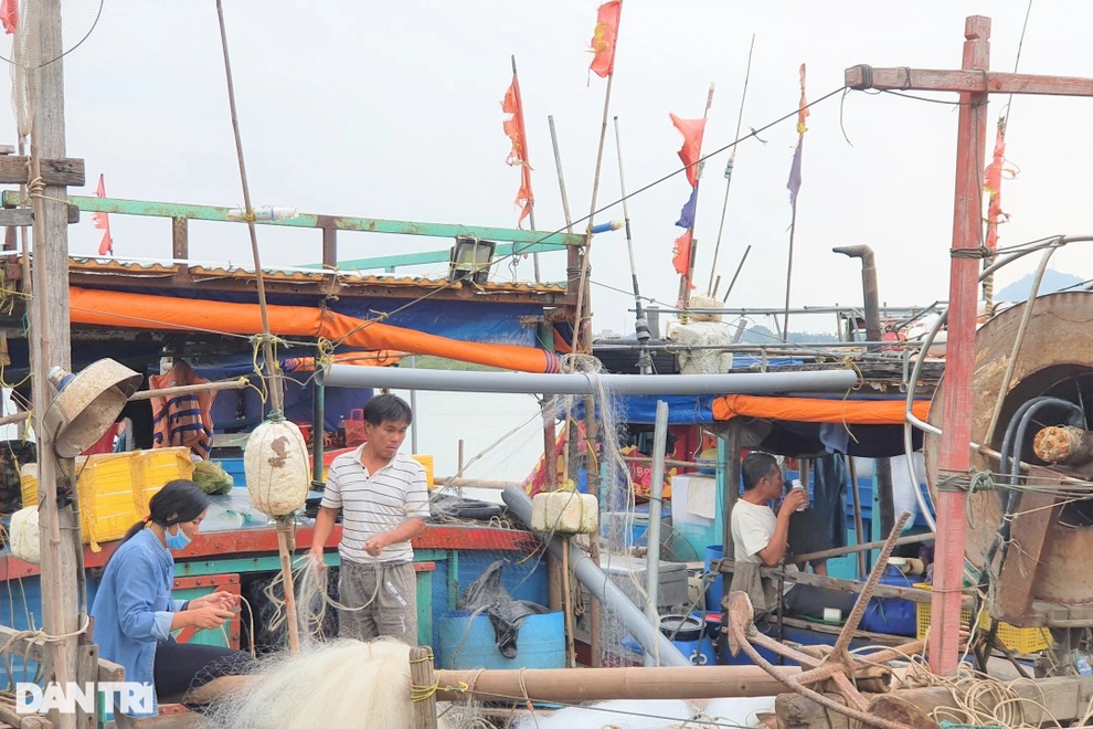 Mỗi chuyến ra khơi 2 ngày đêm, thu nhập ngư dân chỉ đạt khoảng 100.000 đồng - 3 Mỗi chuyến ra khơi 2 ngày đêm, thu nhập ngư dân chỉ đạt khoảng 100.000 đồng - 3