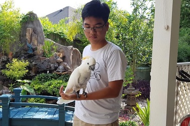 Nam sinh lớp 11 đạt 1550 điểm SAT