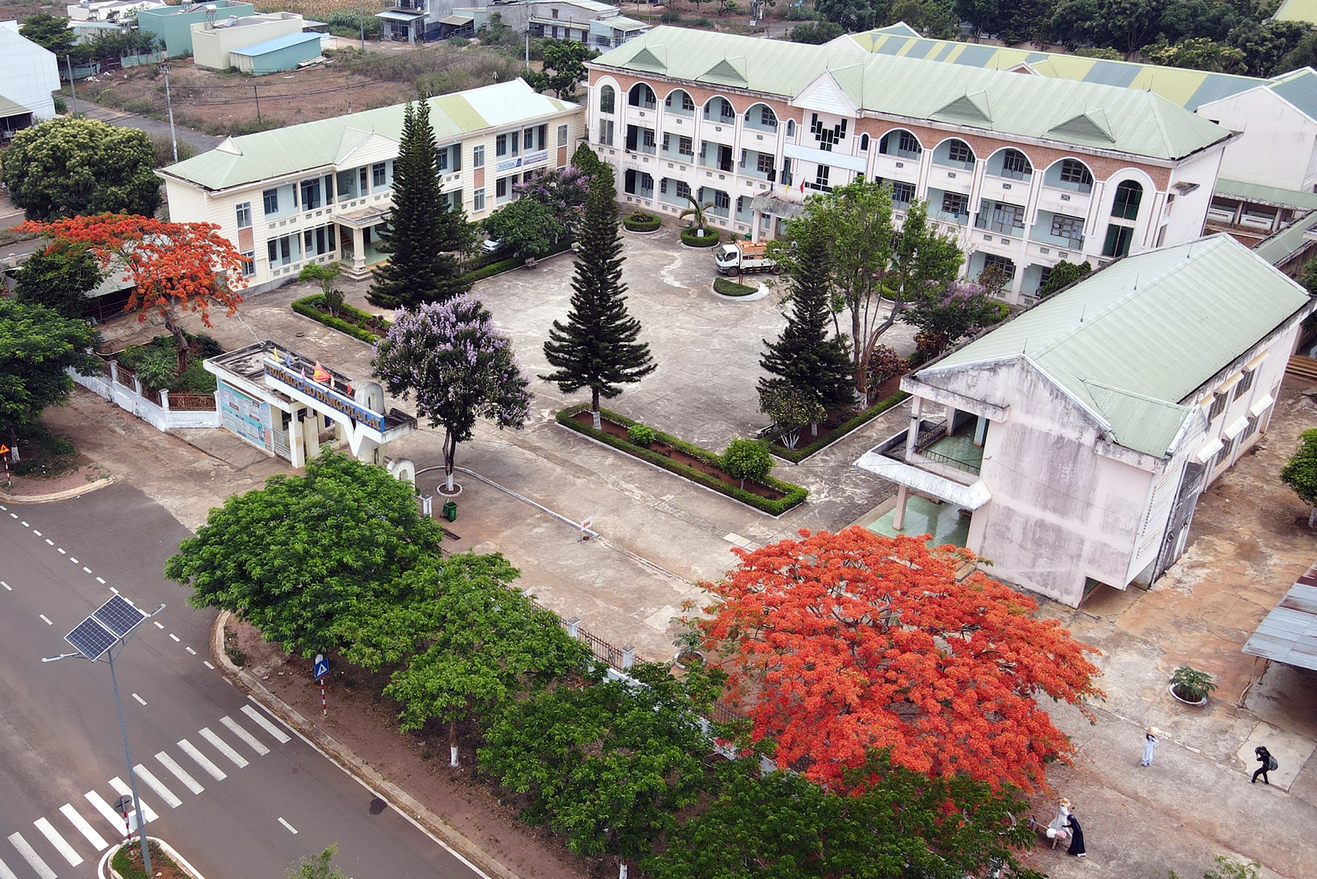 Hoa phượng nhuộm đỏ sân trường ở phố núi Gia Lai - 1