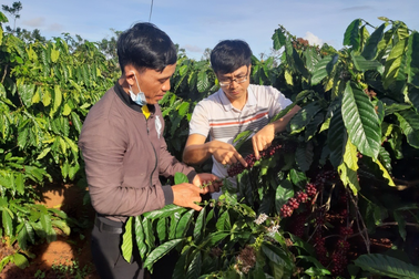 Những tấm gương điển hình người dân tộc xây dựng kinh tế giỏi ở xã Glar