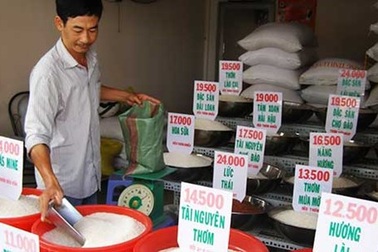 Cách phát hiện gạo giả, gạo nhựa Trung Quốc