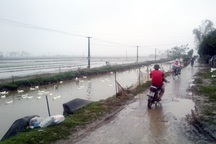 "Chặt chém" chế độ người nghèo, chính quyền lập "quỹ đen" tiền tỷ