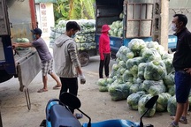 Nông sản Hải Dương: Vì sao Hải Phòng "cấm cửa", Hà Nội rộng đường chào đón?