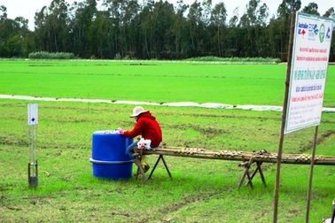 Sẽ nhân rộng mô hình canh tác lúa giảm phát thải nhà kính tại Việt Nam