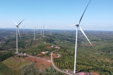 Phó giám đốc sở bị kỷ luật do tham mưu trái quy định về dự án điện gió