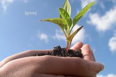 Xóa bỏ rào cản trong việc trọng dụng người tài