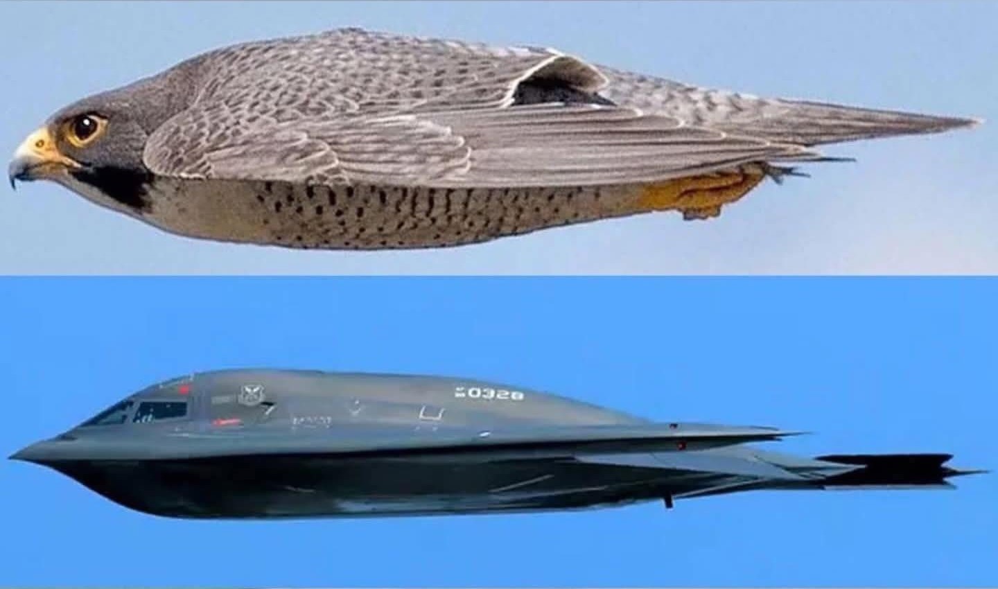 What helps the B-2 Spirit bomber fly continuously for 44 hours? - 5 Điều gì giúp máy bay ném bom B-2 Spirit có thể bay liên tục trong 44 giờ? - 5