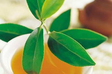 Uống trà giúp giảm mệt mỏi