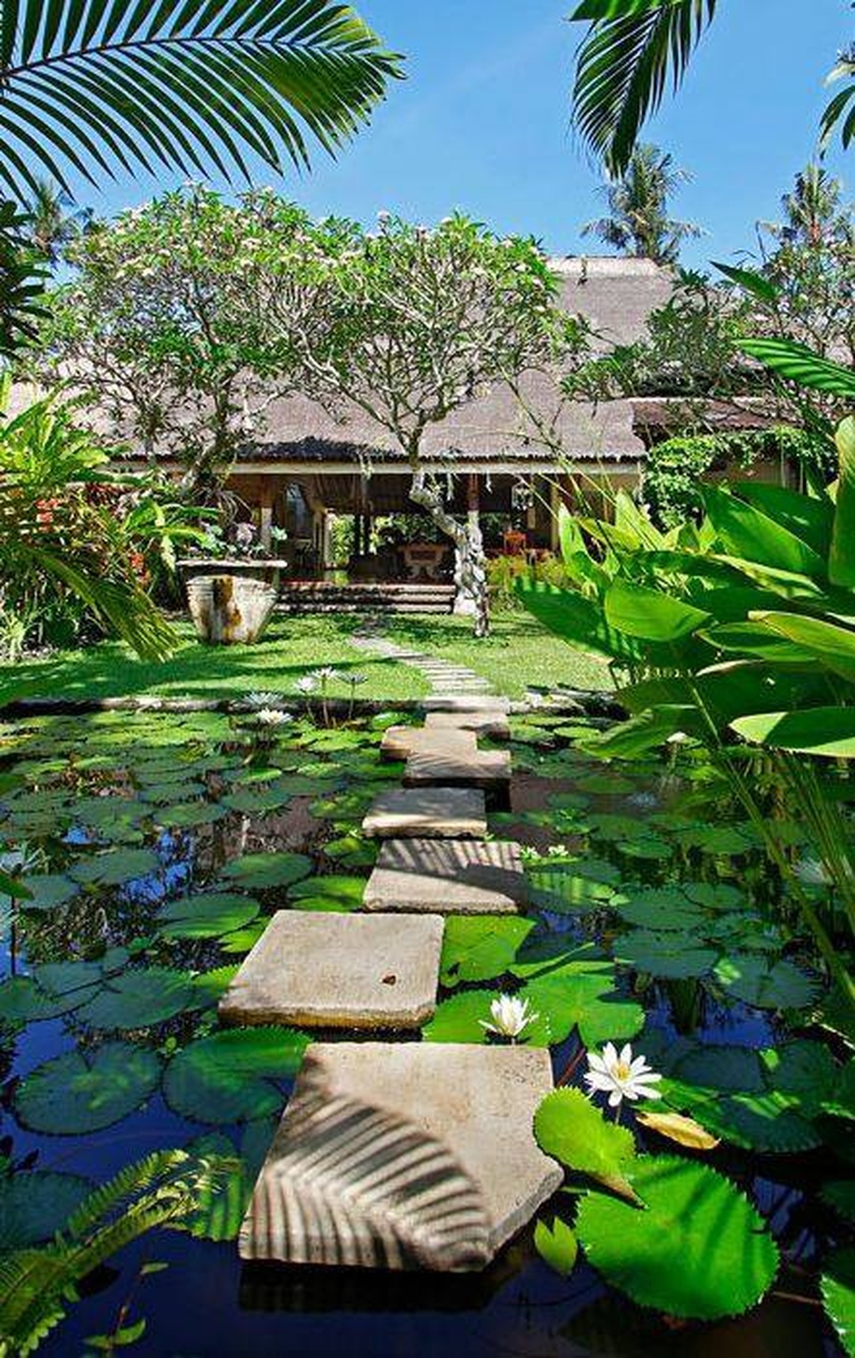 Những mẫu sân vườn xanh ngắt tràn đầy sức sống đón xuân - 7 Những mẫu sân vườn xanh ngắt tràn đầy sức sống đón xuân - 7