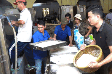 Bếp chay miễn phí nấu hơn 10 tấn gạo, 20 tấn rau củ tại Tây Ninh