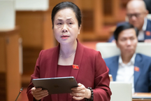 Đại biểu đề xuất cân nhắc với các dự án đấu thầu liên quan đến bất động sản