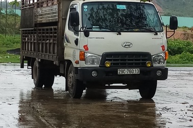 Bắt xe tải chở lợn cố tình vượt trạm kiểm dịch