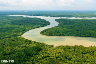 TPHCM: Bao nhiêu đất rừng phòng hộ được sử dụng để xây siêu cảng Cần Giờ?