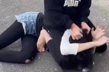 Điều gì khiến bạo lực học đường ngày càng đáng báo động?