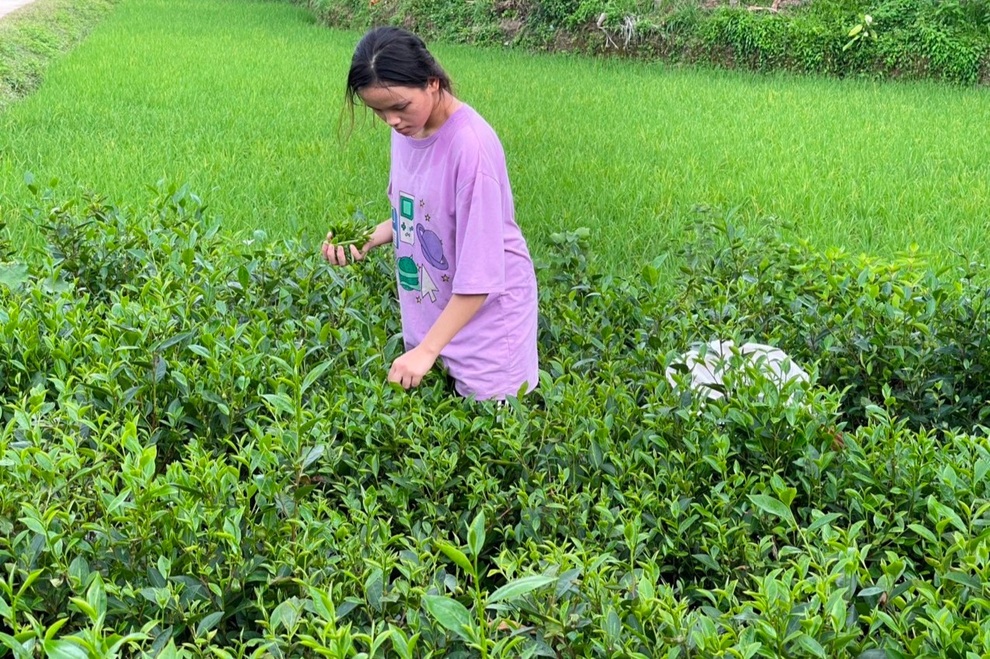 Cô gái lặng lẽ trong ngôi nhà sàn, chờ tin bố mẹ từ tâm dịch Covid-19 - 5 Cô gái lặng lẽ trong ngôi nhà sàn, chờ tin bố mẹ từ tâm dịch Covid-19 - 5