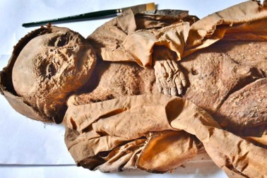 Bí mật đằng sau đứa trẻ bị ướp xác nhiều thế kỷ trước ở Áo