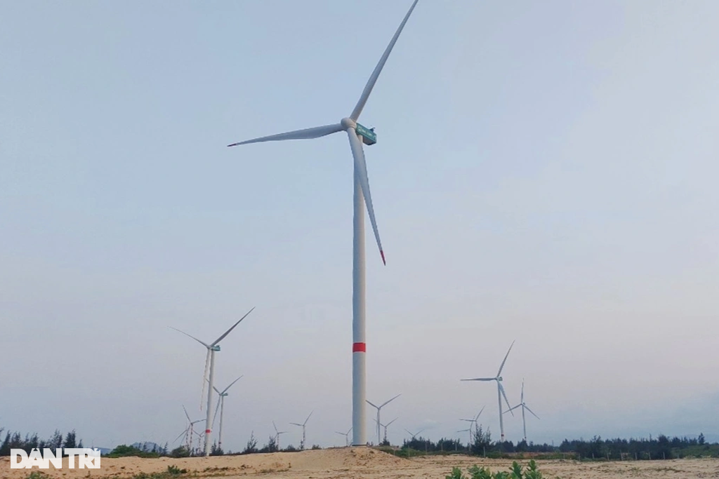 Tỷ phú Singapore muốn đầu tư dự án điện gió 5.500 tỷ đồng ở Bình Định - 1