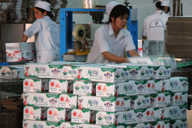 Mộc Châu củng cố thương hiệu sữa hàng đầu tại miền Bắc