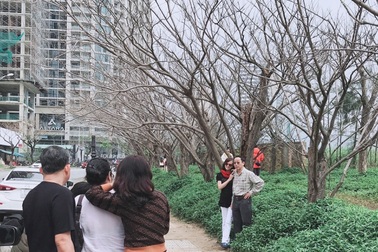 Đua nhau check-in hàng cây rụng lá đẹp như mùa đông trong phim Hàn