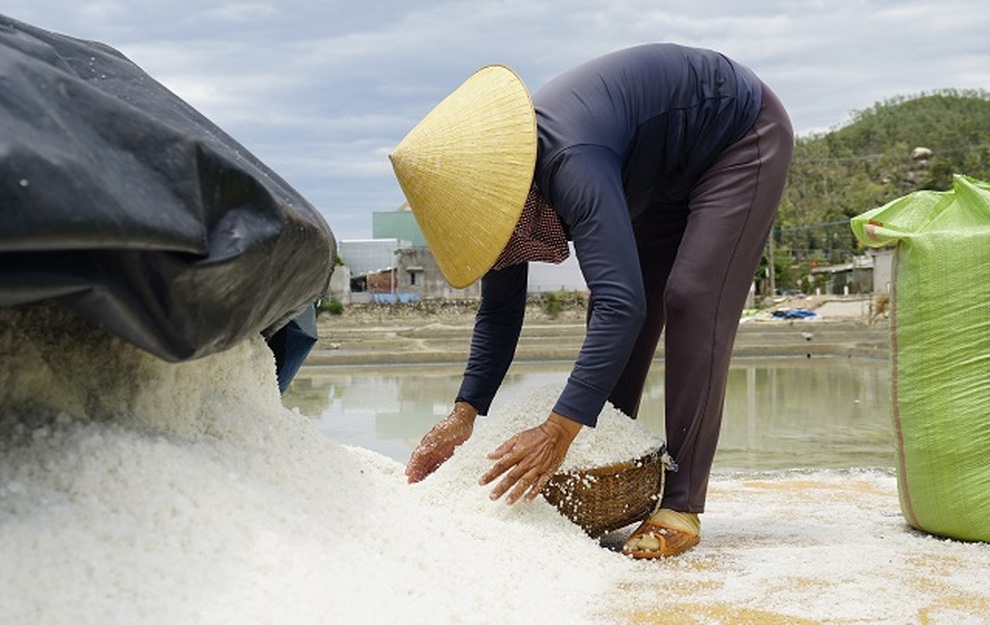 Bán 1 kg muối mua không nổi ổ bánh mì chay, diêm dân tính bỏ ruộng hoang - 6 Bán 1 kg muối mua không nổi ổ bánh mì chay, diêm dân tính bỏ ruộng hoang - 6