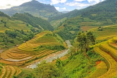 Mùa vàng Tây Bắc - Một hành trình qua ống kính của smartphone màn hình cong