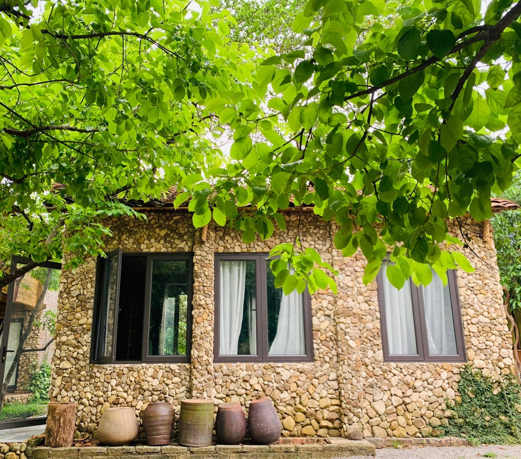 Người phụ nữ Hà Nội về thung lũng xây nhà, thu hoạch 2 tấn hồng mỗi năm - 3 Người phụ nữ Hà Nội về thung lũng xây nhà, thu hoạch 2 tấn hồng mỗi năm - 3