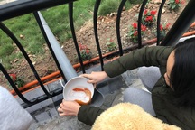 Hà Nội: Lắp cầu trượt “tiễn” Táo quân về trời, dân thích thú xếp hàng chờ đến lượt