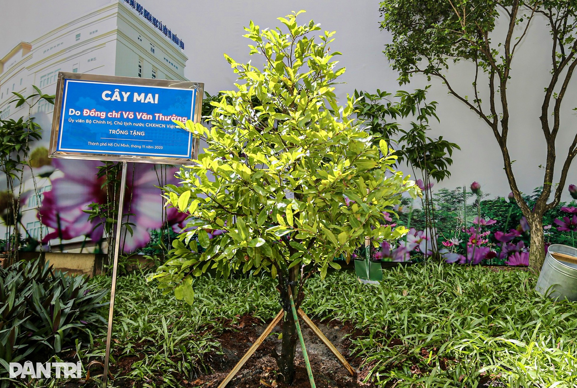 Chủ tịch nước Võ Văn Thưởng thăm lại trường xưa, thầy giáo cũ nhân 20/11 - 10 Chủ tịch nước Võ Văn Thưởng thăm lại trường xưa, thầy giáo cũ nhân 20/11 - 10