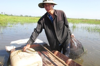 Dân vùng lũ “sống khỏe” nhờ nghề đẩy côn