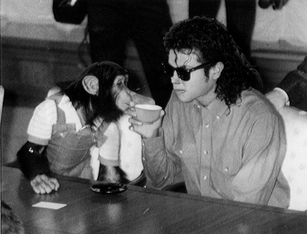 The pain of abandonment of the monkey that was once Michael Jackson's pet - 7