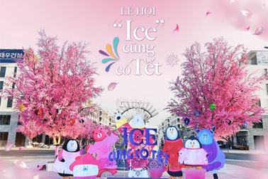 Khám phá "Hoa Ánh Sáng" tại Ice Jungle Phú Quốc