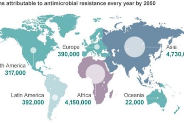 Bệnh hô hấp - Khi nào chưa cần phải dùng kháng sinh