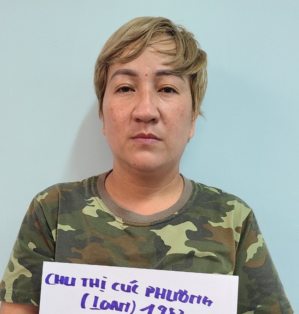 Người phụ nữ thực hiện 24 vụ mua bán trẻ sơ sinh và dịch vụ nuôi đẻ - 1