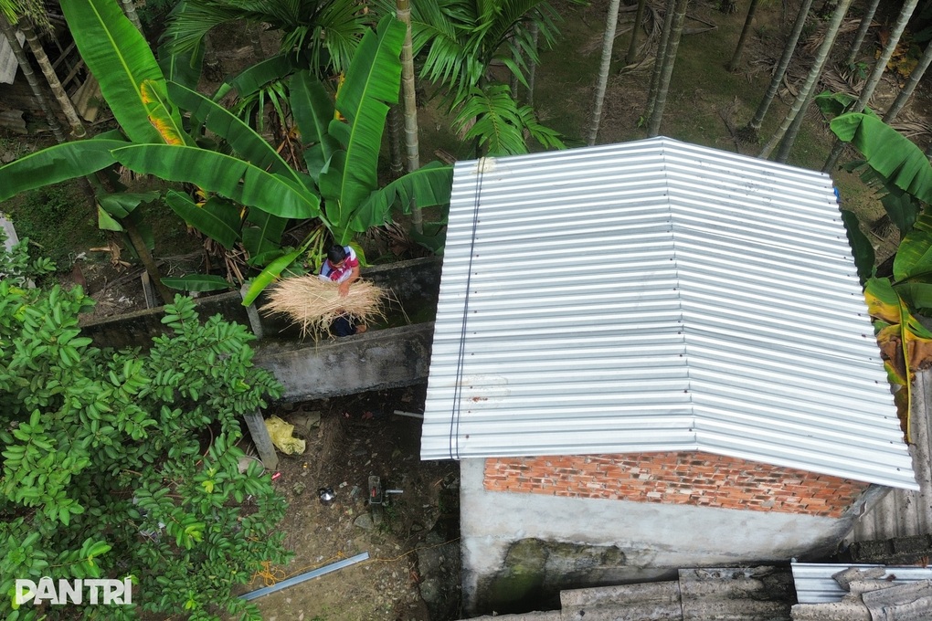 Người dân xây “nhà lầu” cho heo, bò tránh lũ - 2 Người dân xây “nhà lầu” cho heo, bò tránh lũ - 2