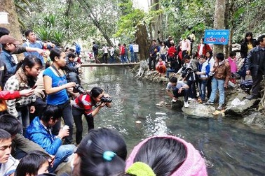 Đầu xuân đi thăm "suối cá thần"