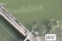 Ukraine lần đầu tung vũ khí đặc biệt, phục kích phá hủy cầu của Nga