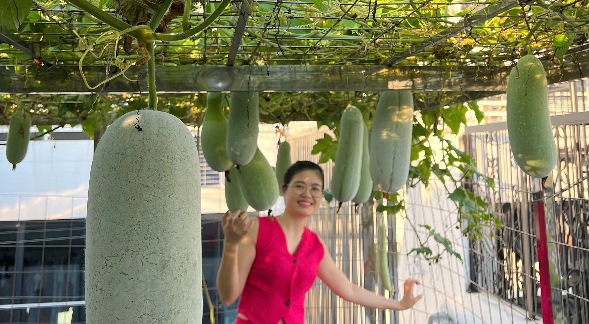 Hà Nội: Chồng thiết kế sân thượng 100m2 thành khu vườn trồng rau tặng vợ - 1 Hà Nội: Chồng thiết kế sân thượng 100m2 thành khu vườn trồng rau tặng vợ - 1