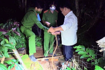 Đổ thuốc trừ sâu xuống giếng vì hận vợ cũ có tình mới