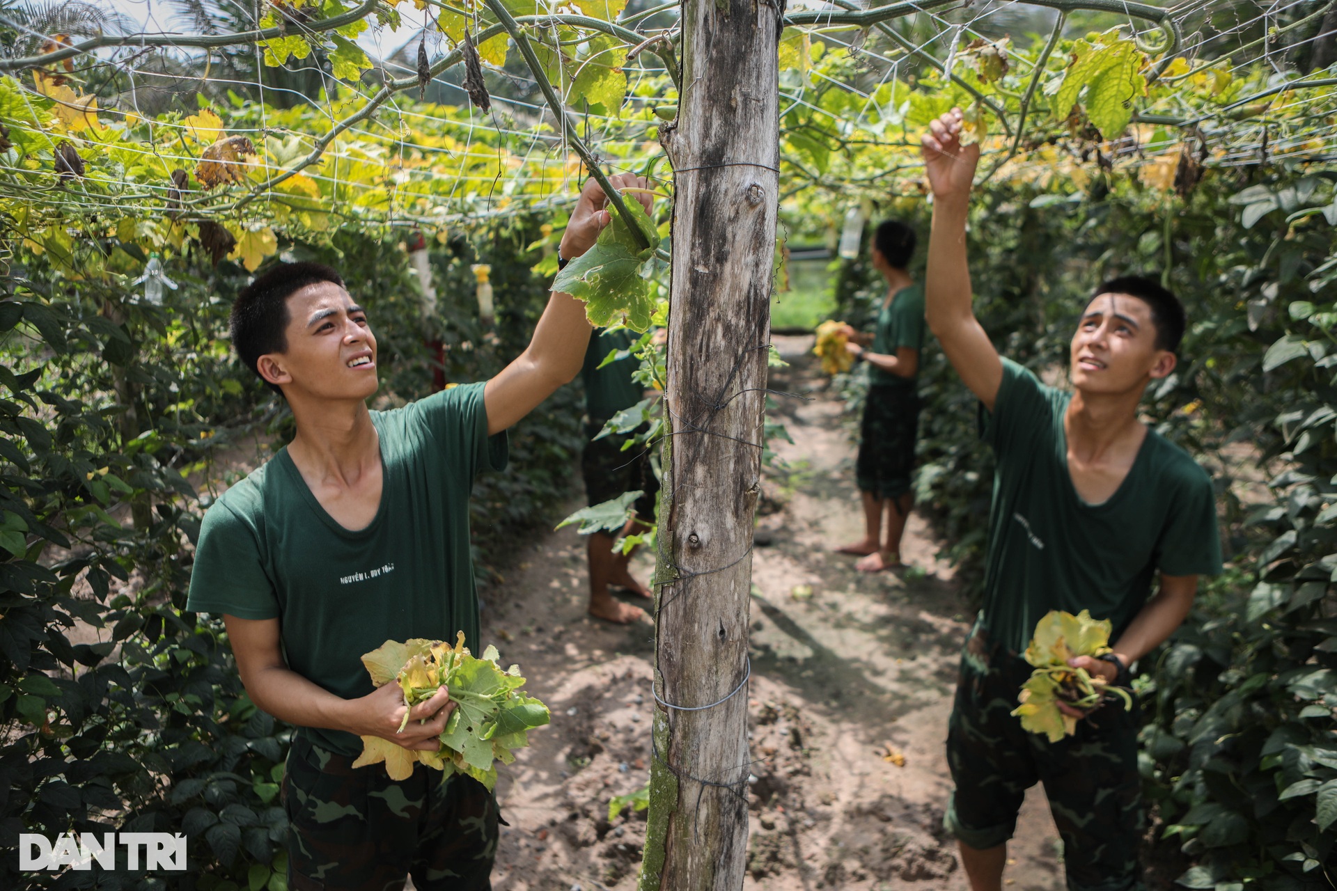Hai anh em sinh đôi cùng tuyên thệ chiến sĩ mới dưới Quân kỳ Quyết thắng - 5 Hai anh em sinh đôi cùng tuyên thệ chiến sĩ mới dưới Quân kỳ Quyết thắng - 5