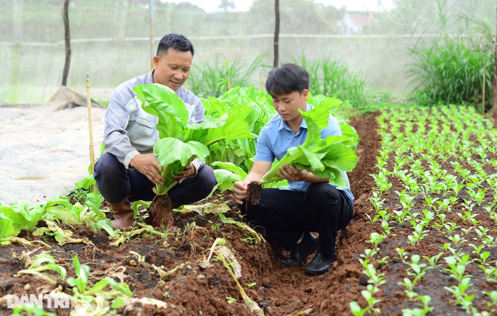 Bỏ công việc có mức lương nhiều người ước, chồng đưa vợ lên núi trồng rau - 3