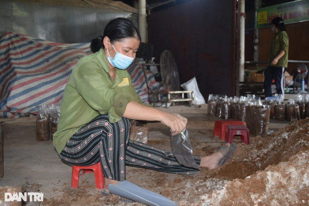 Kiếm tiền tỷ nhờ câu chuyện đi tìm nấm chữa bệnh cho bố - 6 Kiếm tiền tỷ nhờ câu chuyện đi tìm nấm chữa bệnh cho bố - 6