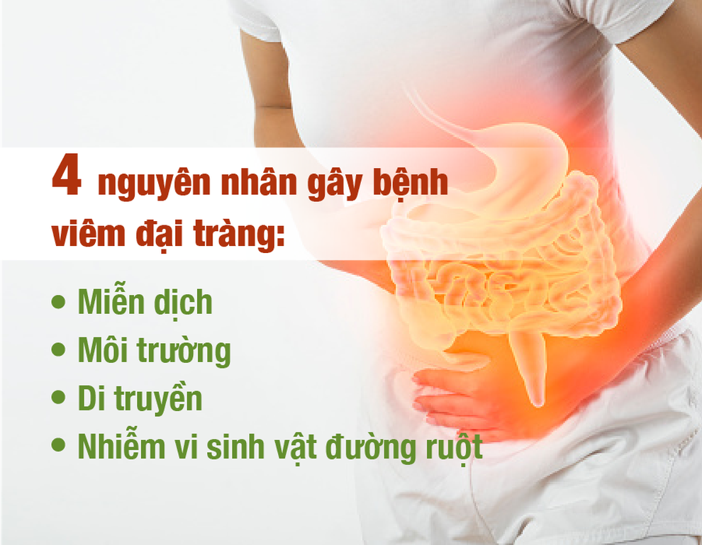 Anvida đại tràng sản phẩm tốt cho người mắc bệnh viêm đại tràng - 1 Anvida đại tràng sản phẩm tốt cho người mắc bệnh viêm đại tràng - 1