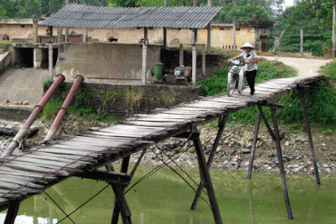 Hà Nội: Rơi khỏi “cầu khỉ”, bị nước cuốn mất xác