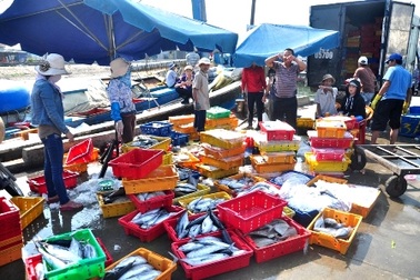 Ngư dân miền Trung trúng lộc biển đầu năm