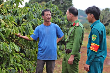 Giá cà phê tăng gấp đôi, chính quyền ra yêu cầu khẩn